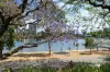 8/37 Duncan Street, West End, Qld 4101-Image