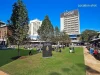 8/40 Meeks Street, Kingsford, NSW 2032-Image