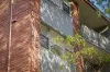 8/45 Alt Street, Ashfield, NSW 2131-Image