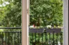 8/50 Kings Road, Five Dock, NSW 2046-Image