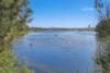 8/56A Park Street, Narrabeen, NSW 2101-Image