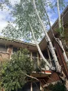 8/57 Lansdowne Road, St Kilda East, Vic 3183-Image