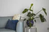 8/80 Hornibrook Esplanade, Clontarf, Qld 4019-Image