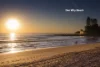 8/85 Dee Why Parade, Dee Why, NSW 2099-Image