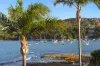 8/9 Fairlight Crescent, Fairlight, NSW 2094-Image