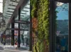8 Central Park Ave, Chippendale, NSW 2008-Image