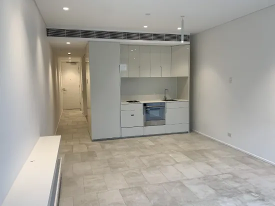 8 Central Park Avenue, Chippendale, NSW 2008