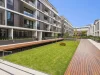 8 Denison Street, Camperdown, NSW 2050-Image