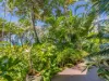 8 Peninsula/9-13 Esplanade, Port Douglas, Qld 4877-Image