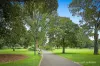 802/263 Franklin Street, Melbourne VIC 3000-Image