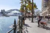803/15 Young Street, Sydney, NSW 2000-Image