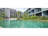803/19 Joynton Avenue, Zetland, NSW 2017-Image