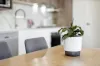 807/79 Regent Street, Kogarah, NSW 2217-Image