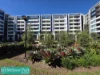810/2C Appleroth Street, Melrose Park, NSW 2114-Image