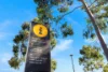 812/28 Ebsworth Street, Zetland, NSW 2017-Image
