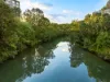 826/20 Shamrock Street, Abbotsford, Vic 3067-Image