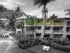 835/63 Williams Esplanade, Palm Cove, Qld 4879-Image