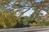 87/244-254 Alison Road, Randwick, NSW 2031-Image