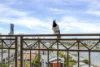 88/1 Goodwin Street, Kangaroo Point, Qld 4169-Image