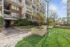 88/2A Brown Street, Ashfield, NSW 2131-Image