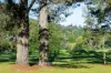 9/1 Boronia Street, Bowral, NSW 2576-Image