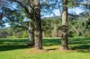 9/1 Boronia Street, Bowral, NSW 2576-Image