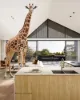 9-11 Wimba Avenue, Kew, Vic 3101-Image