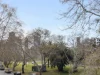 9/134 Mounts Bay Road, Perth, WA 6000-Image