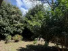 9/177A West Street, Newtown, Qld 4350-Image