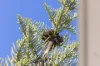 9/20 Second Avenue, Maroochydore, Qld 4558-Image