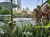 9/27-31 WHARF ROAD, Surfers Paradise, Qld 4217-Image