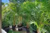 9/2964 Gold Coast Highway, Surfers Paradise, Qld 4217-Image