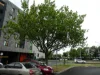 9/3 Lytton Street, Carlton, Vic 3053-Image