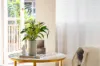 9/48 West Parade, West Ryde, NSW 2114-Image