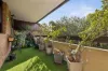 9/49 Charlotte Street, Ashfield, NSW 2131-Image