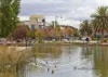 9/51 Victoria Parade, Mawson Lakes, SA 5095-Image
