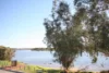 9/58 Nannine Place, Rivervale, WA 6103-Image