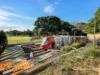9/70a Wigram Road, Glebe, NSW 2037-Image
