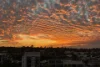 905/2 Malthouse Way, Summer Hill, NSW 2130-Image