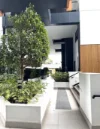 906/1 King William Street, Kent Town, SA 5067-Image
