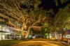909/31 Woods Street, Darwin City, NT 0800-Image