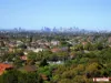 91/438 Forest rd, Hurstville, NSW 2220-Image