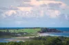 915/15 Howard Avenue, Dee Why, NSW 2099-Image