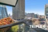 917/2 Chippendale Way, Chippendale, NSW 2008-Image