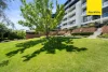 92/7 Light Street, Griffith ACT 2603-Image
