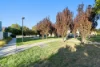 99/104 Henry Kendall Street, Franklin, ACT 2913-Image