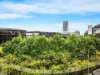 9L50/38 Harbour Street, Sydney, NSW 2000-Image
