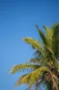 Apartment 1/8-10 Lorraine Avenue, Marcoola, Qld 4564-Image