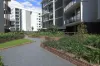 B11025/11 Bennelong Parkway, Wentworth Point, NSW 2127-Image
