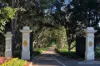 B205/1 Avon Road, Pymble, NSW 2073-Image